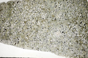 Plane Polarized, S84118