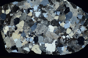 Cross Polarized, S84119