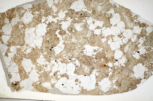 Plane Polarized, S84119