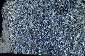 Cross Polarized, S84120