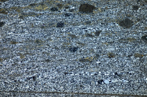 Cross Polarized, S84121