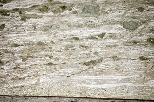 Plane Polarized, S84121