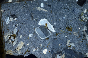 Cross Polarized, S84122