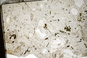 Plane Polarized, S84122