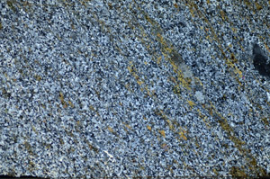 Cross Polarized, S84123