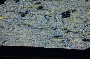 Cross Polarized, S84125