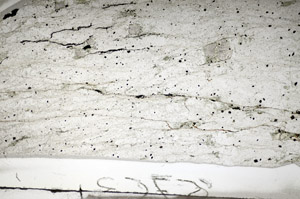 Plane Polarized, S84125