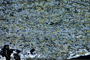 Cross Polarized, S84126