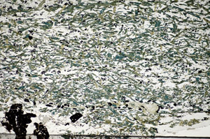 Plane Polarized, S84126