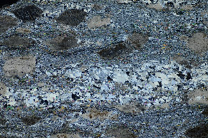 Cross Polarized, S84127