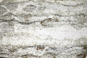 Plane Polarized, S84127