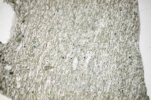 Plane Polarized, S84129