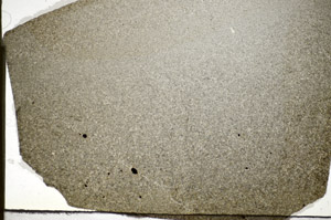 Plane Polarized, S84130