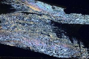 Cross Polarized, S84131