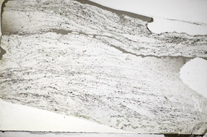 Plane Polarized, S84131