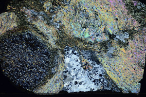 Cross Polarized, S84132