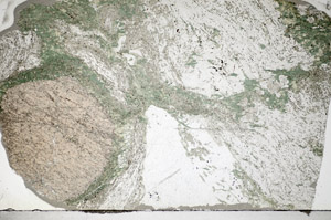 Plane Polarized, S84132