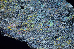 Cross Polarized, S84133