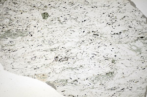 Plane Polarized, S84133