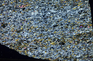 Cross Polarized, S84134