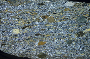 Cross Polarized, S84139