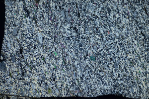 Cross Polarized, S84141