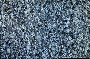 Cross Polarized, S84145