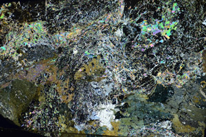 Cross Polarized, S84148