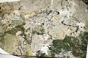 Plane Polarized, S84148