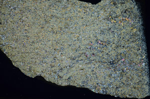 Cross Polarized, S84152