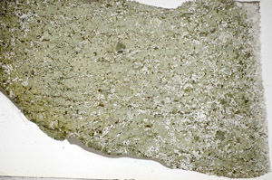 Plane Polarized, S84152