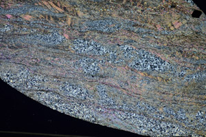 Cross Polarized, S84153