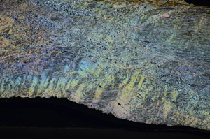 Cross Polarized, S84155