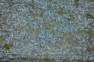 Cross Polarized, S84157