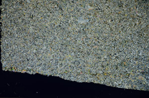 Cross Polarized, S84158