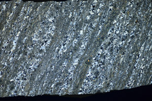 Cross Polarized, S84163