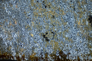 Cross Polarized, S84164