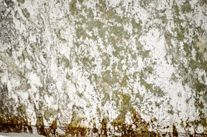 Plane Polarized, S84164
