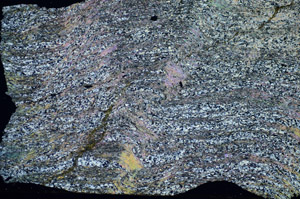 Cross Polarized, S84165