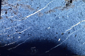 Cross Polarized, S84167