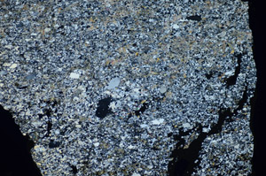 Cross Polarized, S84171