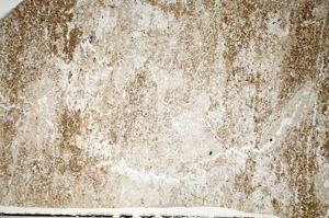 Plane Polarized, S84172