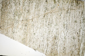 Plane Polarized, S84175