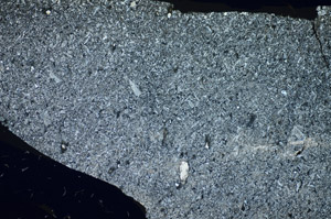 Cross Polarized, S84176