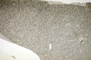 Plane Polarized, S84176