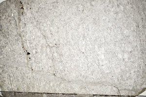 Plane Polarized, S84177