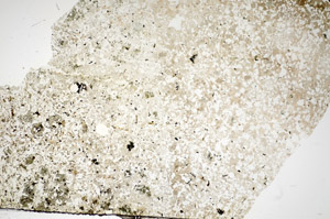 Plane Polarized, S84178