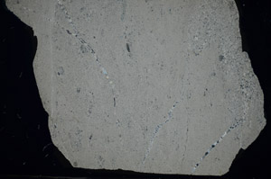 Cross Polarized, S84179