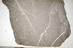 Plane Polarized, S84179