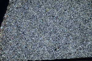 Cross Polarized, S84180